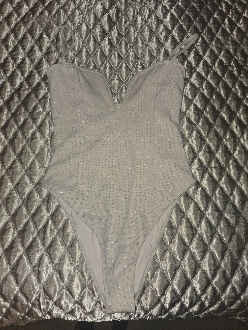 DEVON WINDSOR Silver Sparkle One-Piece Swimsuit